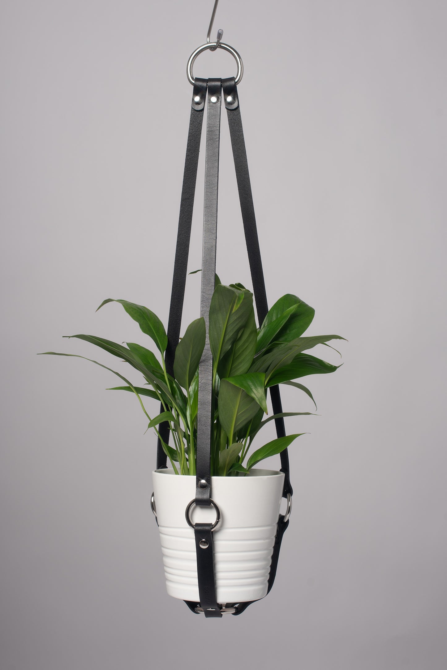 Harness Plant Hanger - Black Leather