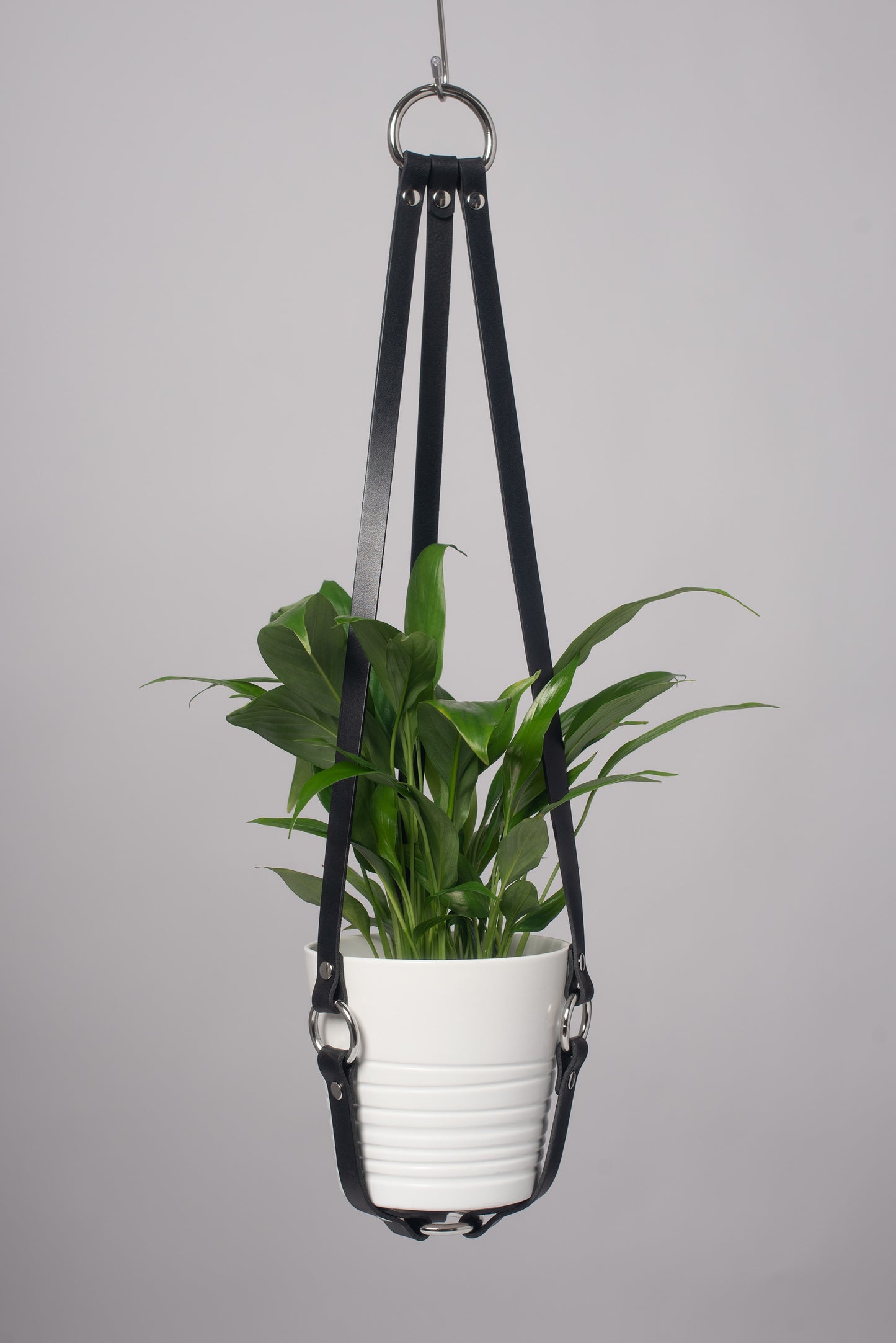 Harness Plant Hanger - Black Leather