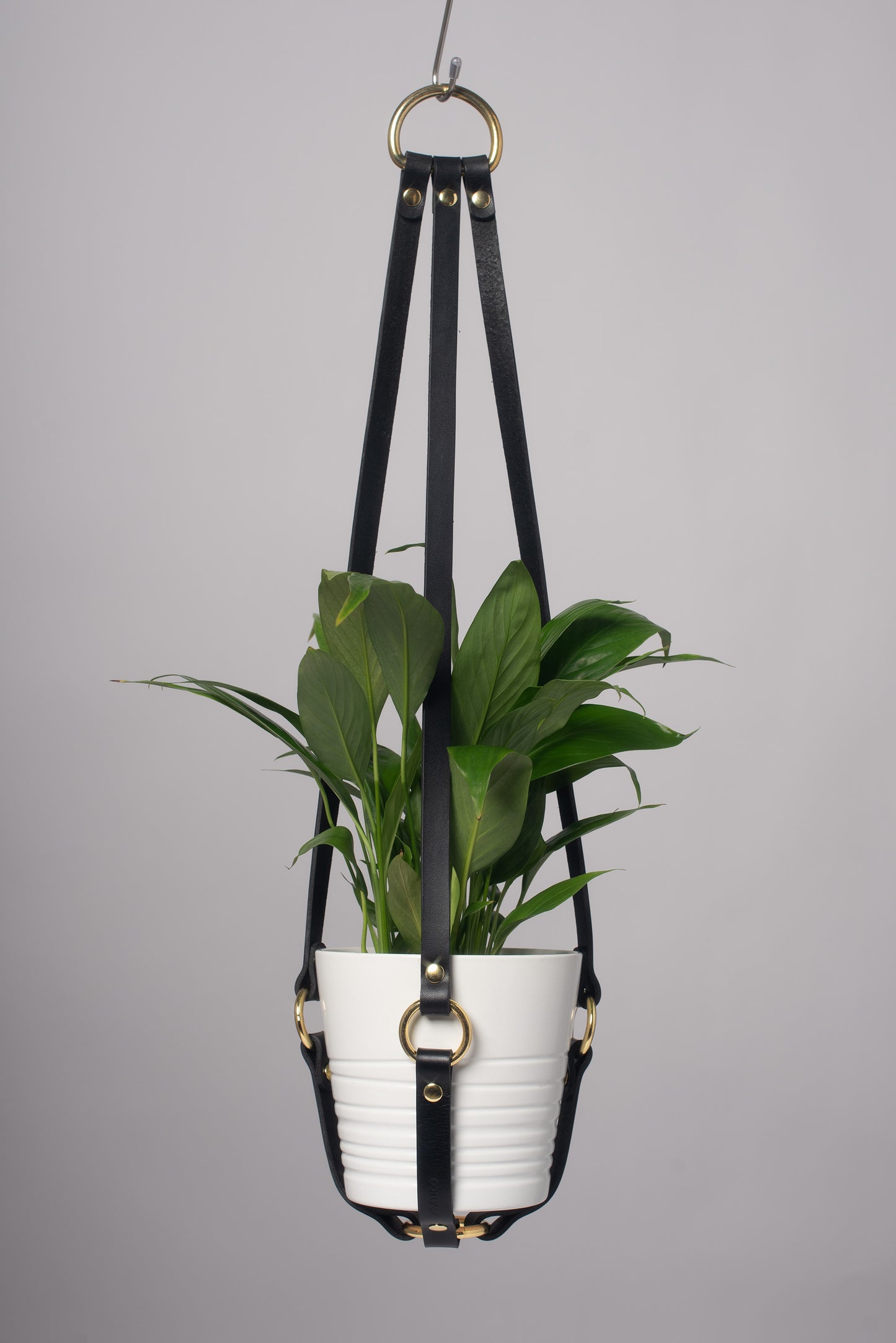 Harness Plant Hanger - Black Leather