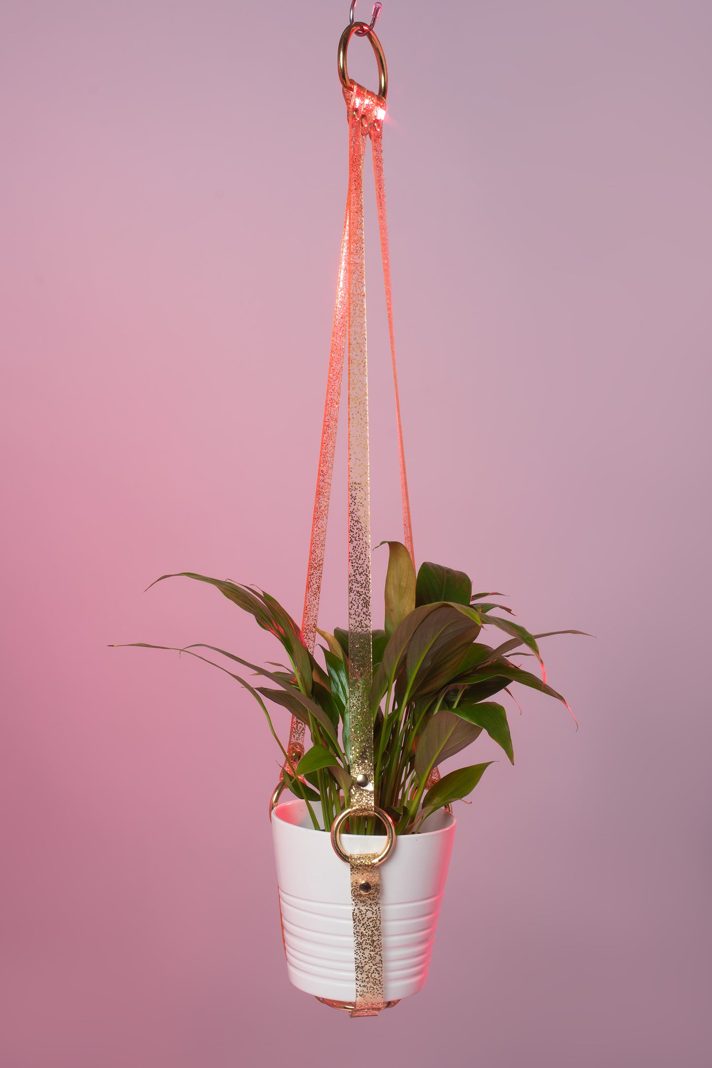 Harness Plant Hanger - Gold Glitter PVC