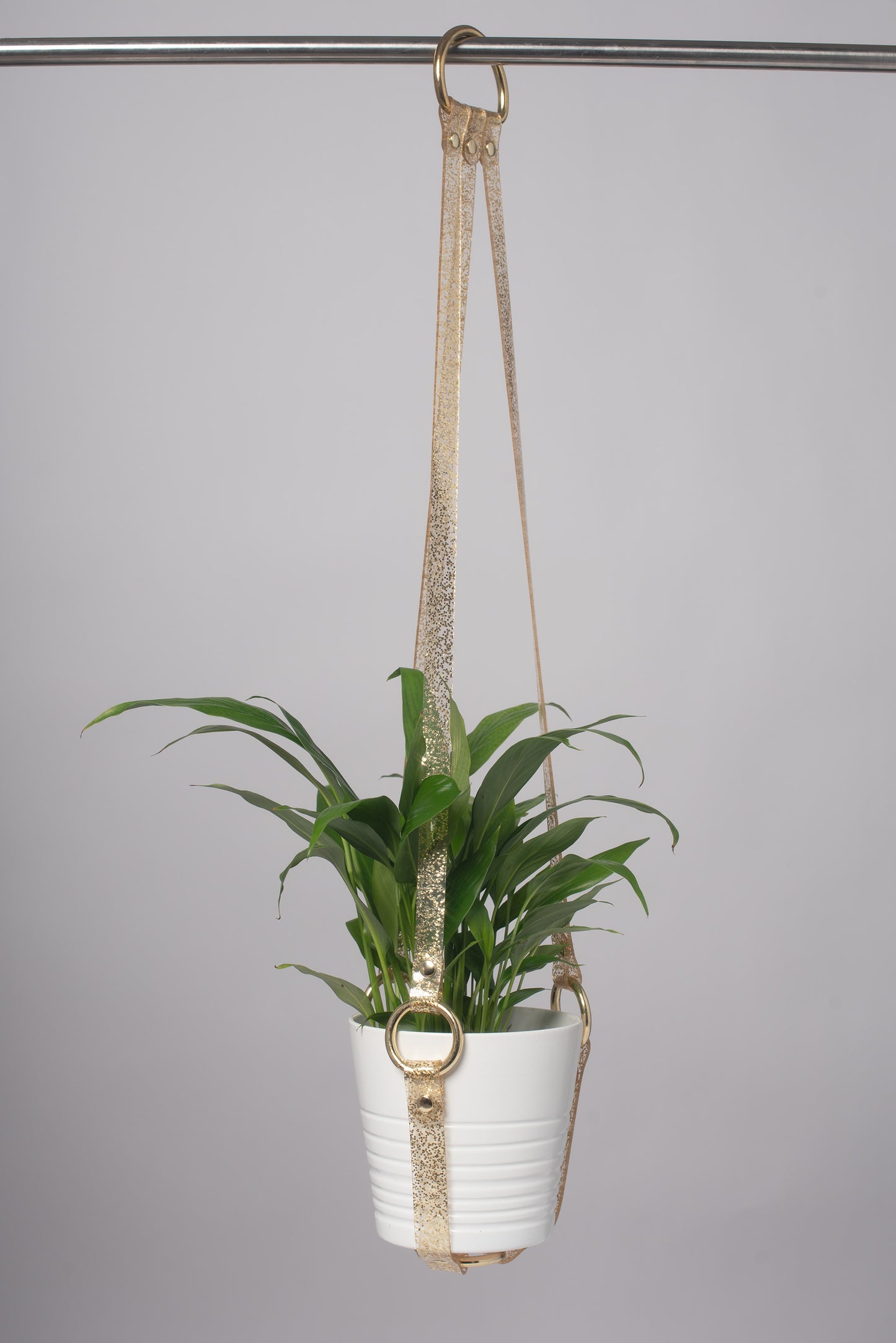 Harness Plant Hanger - Gold Glitter PVC