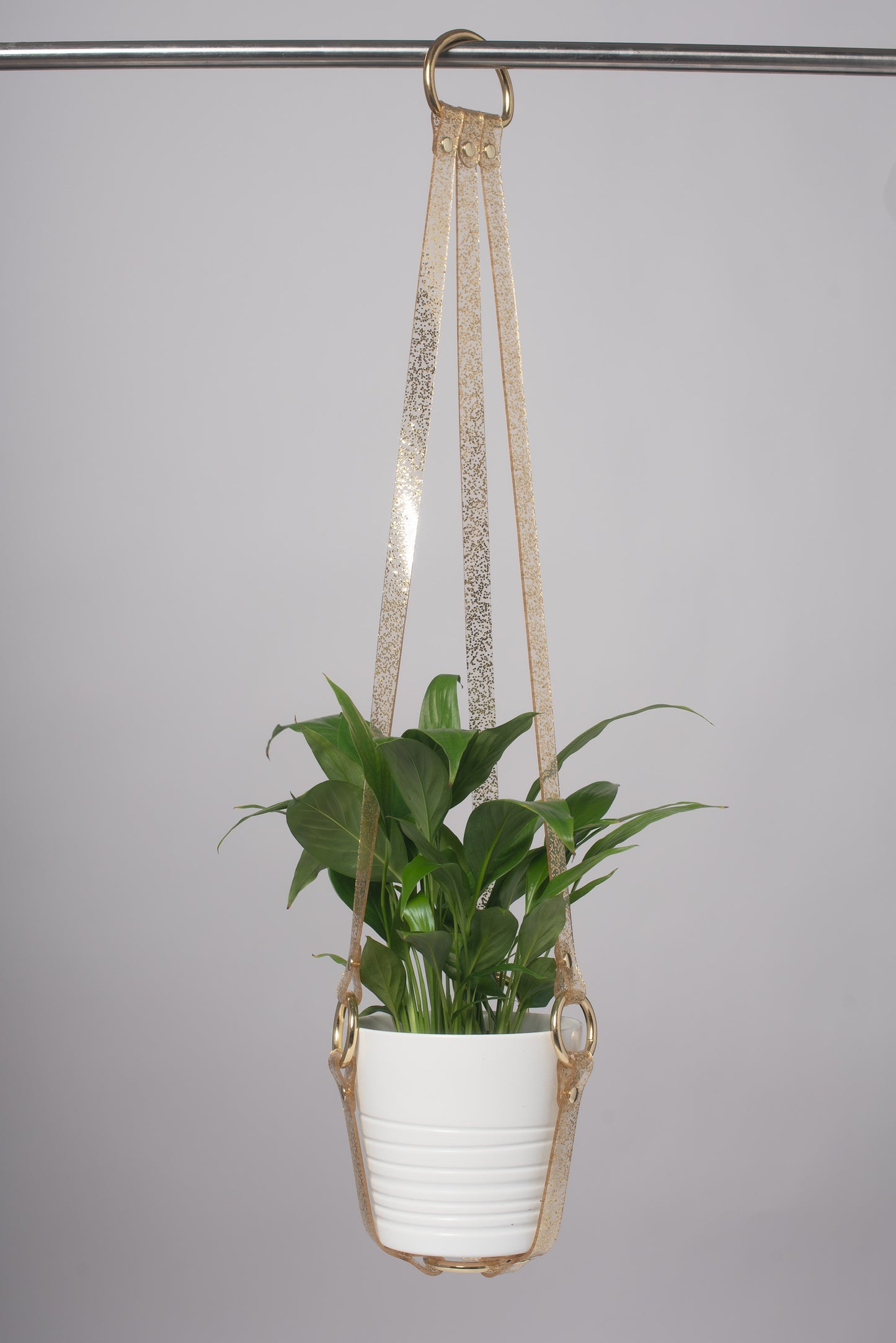 Harness Plant Hanger - Gold Glitter PVC