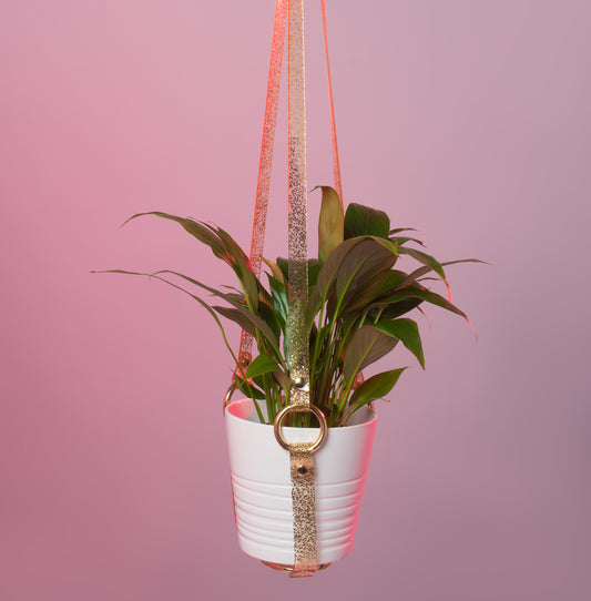 Harness Plant Hanger - Gold Glitter PVC