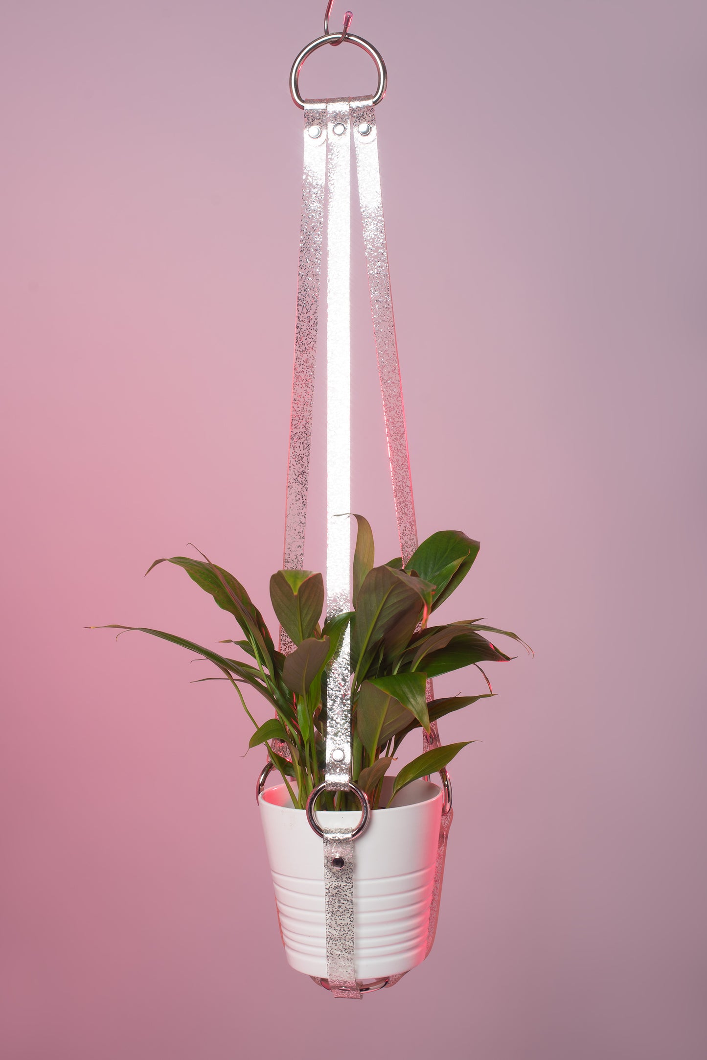 Harness Plant Hanger - Silver Glitter PVC