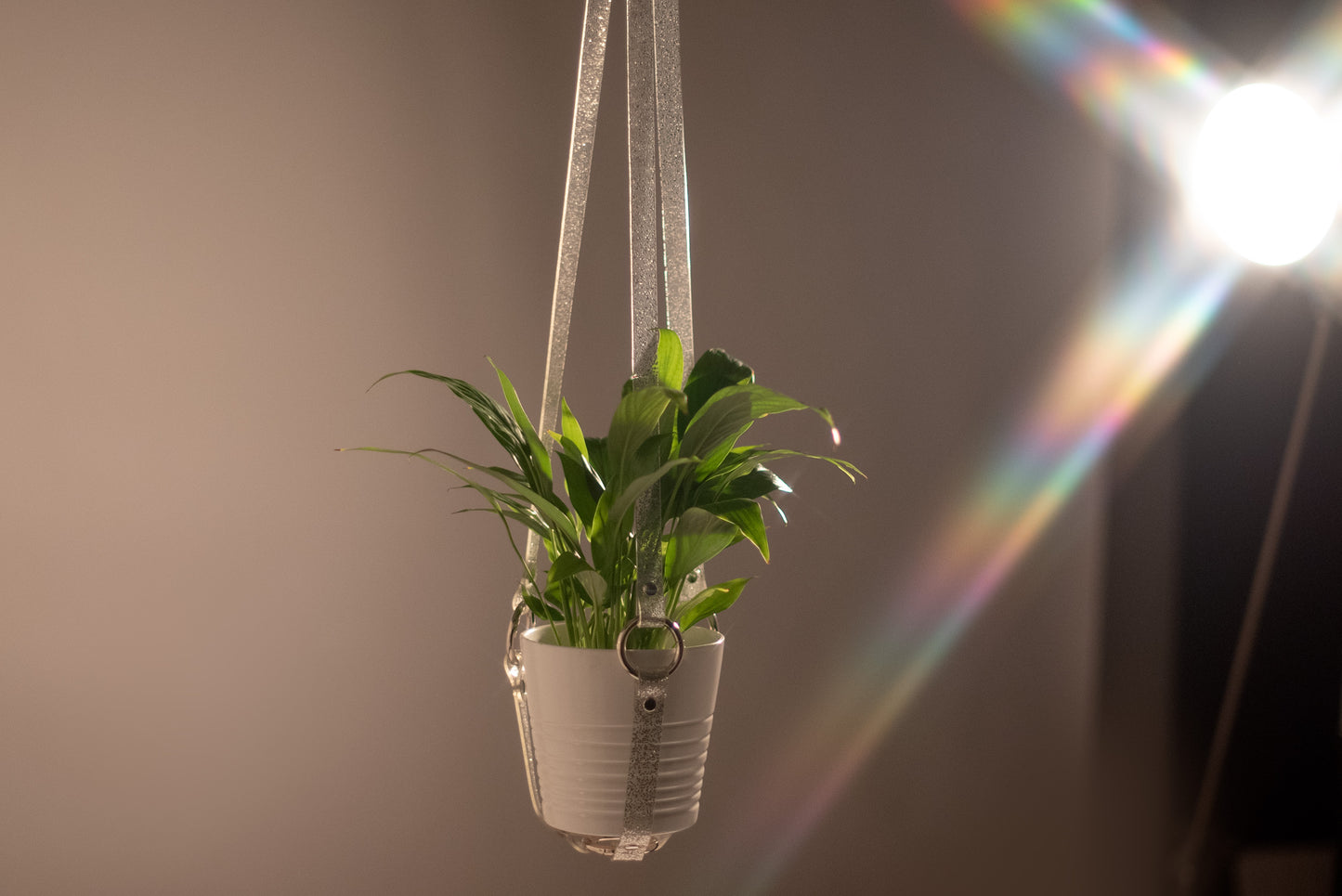 Harness Plant Hanger - Silver Glitter PVC