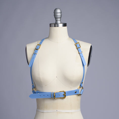 Harnesses – Tagged blue – Apatico