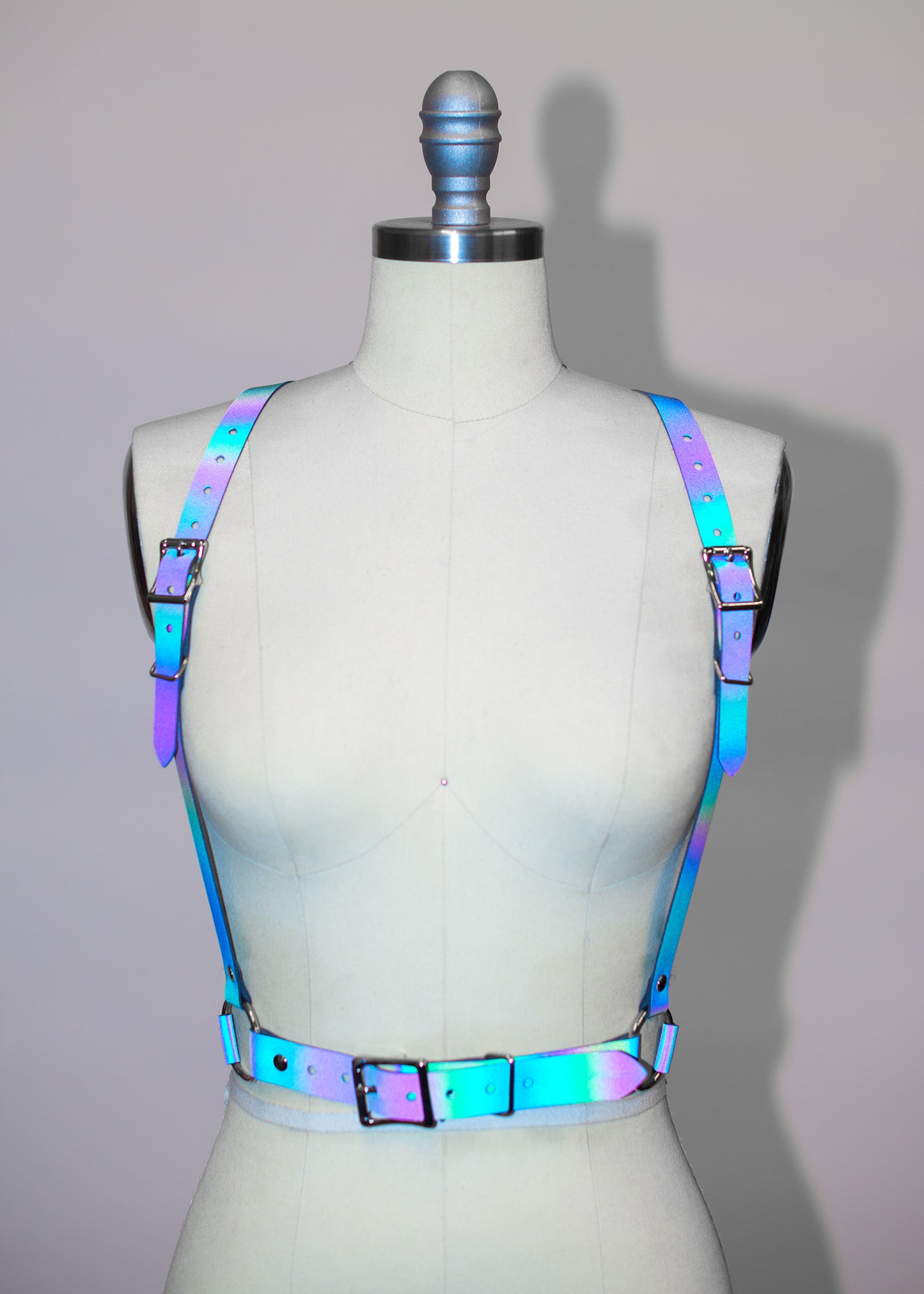 Reflective Rainbow Harness