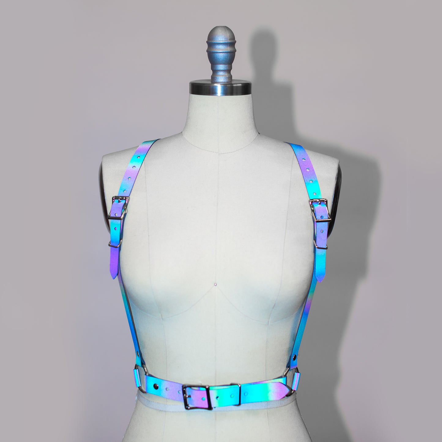 Reflective Rainbow Harness