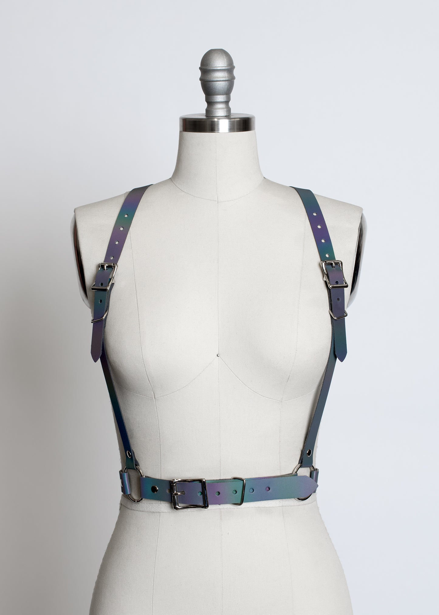 Reflective Rainbow Harness